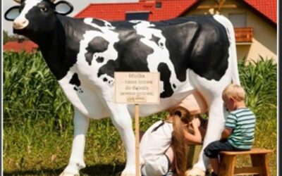 Wycieczka do PARKU ROLNICZEGO „GIPROL” – Staniszcze Małe (11.06.2024r)